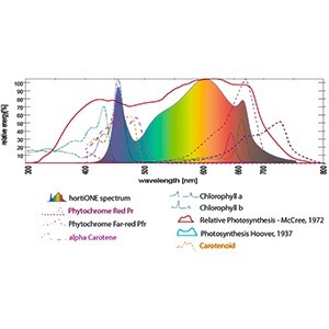 hortione_lichtspektrum