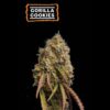 Gorilla Cookies