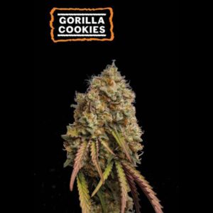 Gorilla Cookies